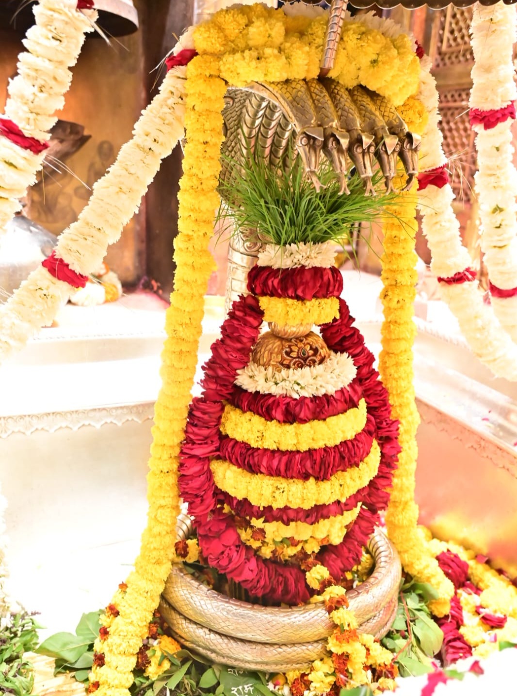 kashi tour package namokashi