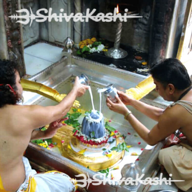 Kashi Vishwanath Temple Darshan
